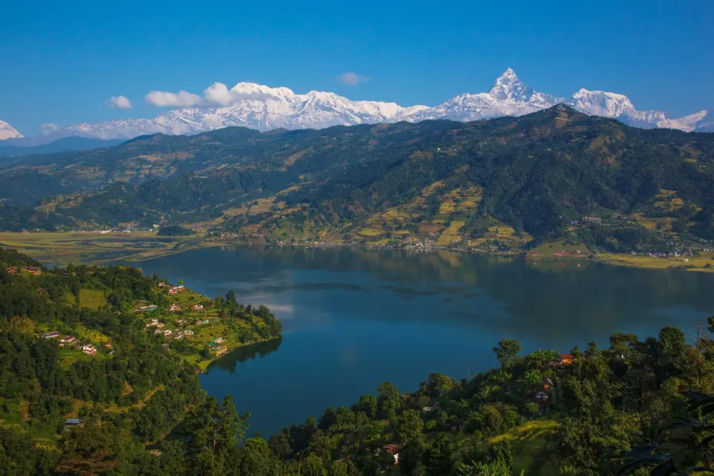 beautiful fewa lake view with fishtail mountain in the back