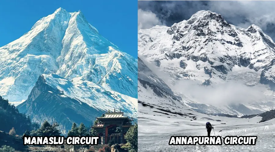Manaslu Circuit vs Annapurna Circuit Trek in Nepal
