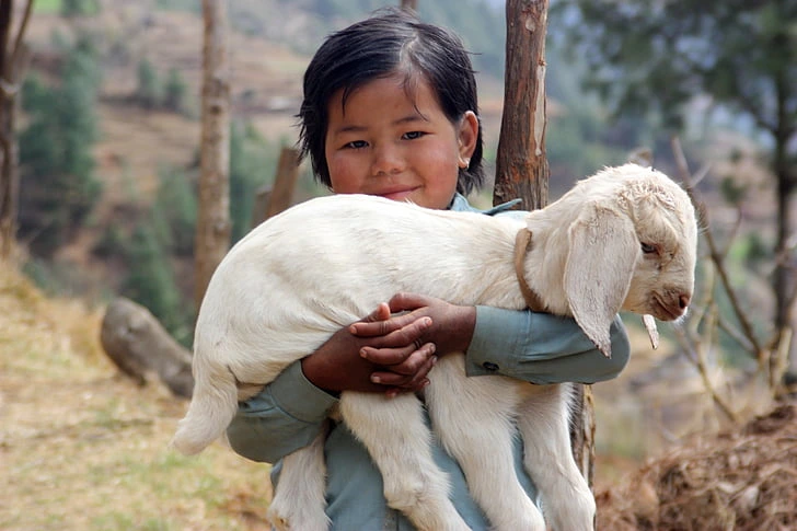 Local child with lamb 